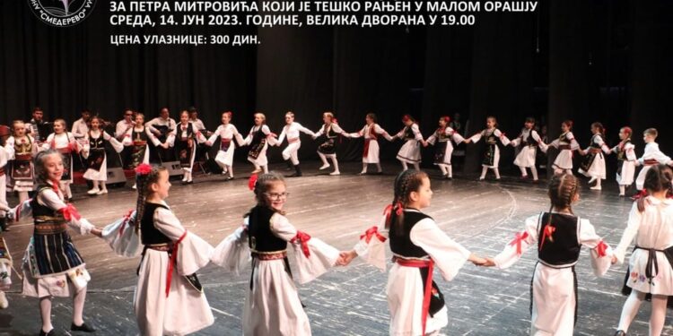 Humanitarni koncert za Petra Mitrovića ranjenog u Malom Orašju