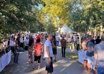 Manifestacija “Ukus Velike Plane” održana prvi put