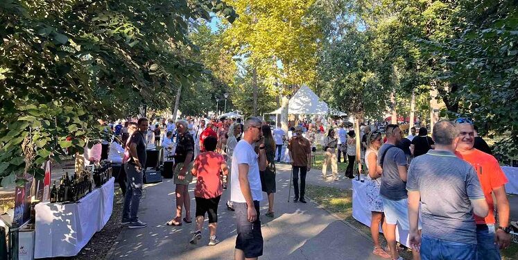 Manifestacija “Ukus Velike Plane” održana prvi put