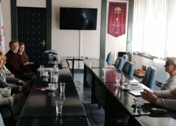 Gradonačelnica Vojinović: Tražimo potencijalna rešenja za uređenje Smederevske tvrđave