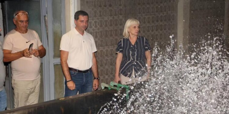 Gradonačelnica pohvalila smederevski „Vodovod“: Dugi tropski talasi prošli bez restrikcija