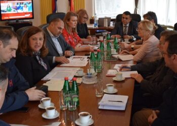 Tema Podunavskog okruga: Instrukcija za postupanje i planiranje mera zaštite i spasavanja