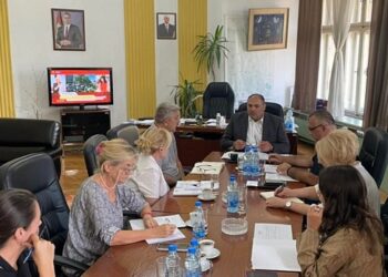 Savet Podunavskog okruga o implementaciji Uredbe o energetski zaštićenom kupcu