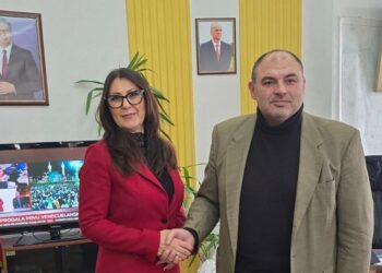 Radni sastanak načelnika Podunavskog okruga i predsednice Regionalne privredne komore