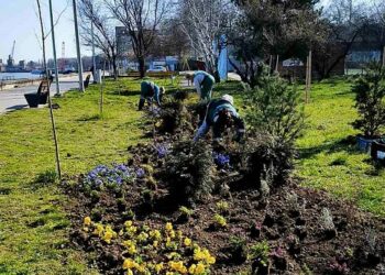 JKP „Zelenilo i groblja“ Smederevo započelo aktivnosti na uređenju javnih površina