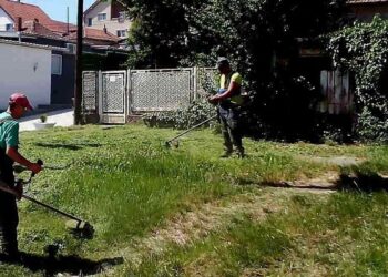 JKP Zelenilo Smederevo: Košenje u ulici Crvene Armije