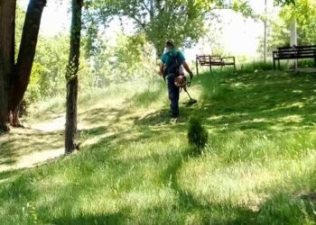 JKP Zelenilo Smederevo: Košenje na početku ulice Crvene Armije