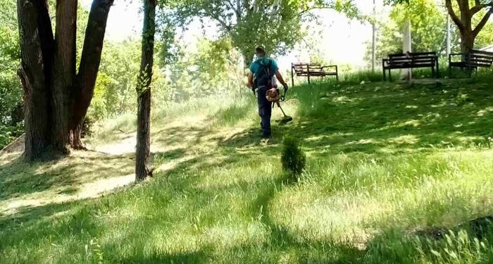 JKP Zelenilo Smederevo: Košenje na početku ulice Crvene Armije