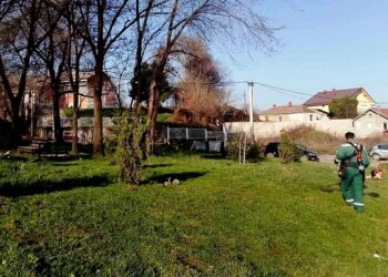 JKP Zelenilo i groblja: Kosidba trave u ulici Crvene Armije