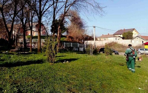 JKP Zelenilo i groblja: Kosidba trave u ulici Crvene Armije