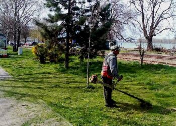 JKP Zelenilo i groblja Smederevo: Uređenje zelenih površina