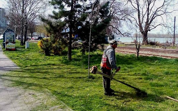 JKP Zelenilo i groblja Smederevo: Uređenje zelenih površina