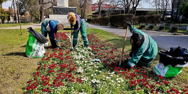JKP Zelenilo i groblja Smederevo: Uređenje zelenih površina