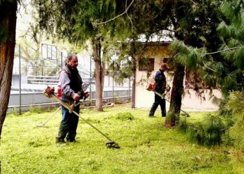 JKP Zelenilo i groblja Smederevo: Čist i funkcionalan prostor za sve korisnike parka