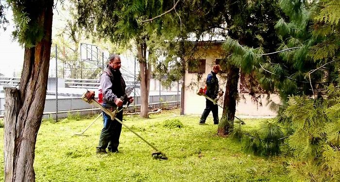 JKP Zelenilo i groblja Smederevo: Čist i funkcionalan prostor za sve korisnike parka