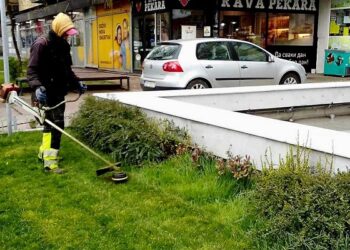 JKP Zelenilo i groblja Smederevo: Redovno uređenje na više lokacija