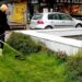 JKP Zelenilo i groblja Smederevo: Redovno uređenje na više lokacija