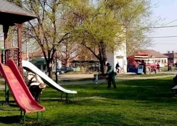 JKP Zelenilo i groblja Smederevo: Akcija u Lipama i Papazovcu