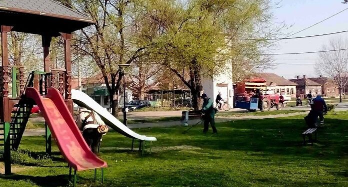 JKP Zelenilo i groblja Smederevo: Akcija u Lipama i Papazovcu