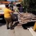 JKP Zelenilo i groblja Smederevo: Završena akcija sakupljanja kabastog otpada