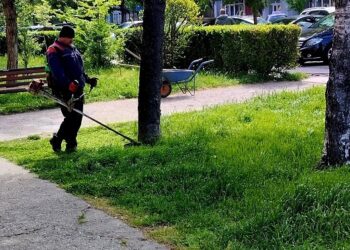 JKP Zelenilo i groblja Smederevo: Nastavlja se uređenje Karađorđeve