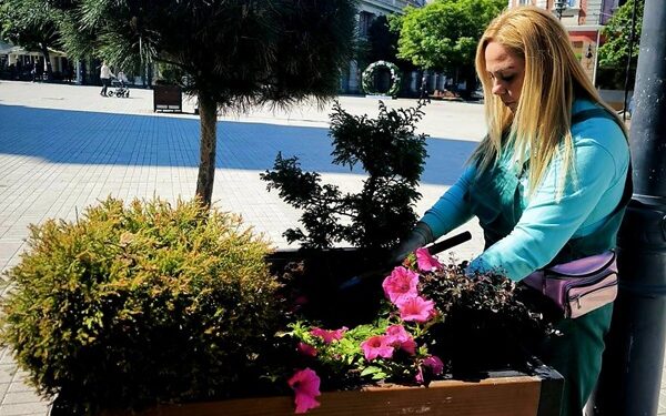 JKP Zelenilo i groblja Smederevo započelo sadnju sezonskog cveća