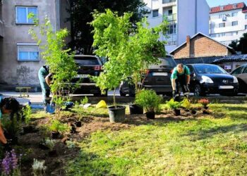 JKP Zelenilo Smederevo uredilo blokovsko dvorište u Miloša Velikog