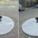 JKP Zelenilo i groblja Smederevo: Nove javne česme u Kralja Petra