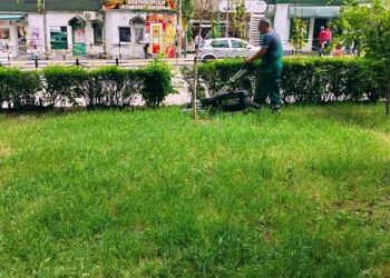 Zelenilo Smederevo: Uređenje zelenih površina u 17. oktobra, Nosilaca Albanske spomenice i Karađorđevoj