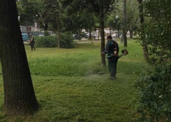 Zelenilo Smederevo uređuje parkove, zelene površine i autobuska stajališta širom grada