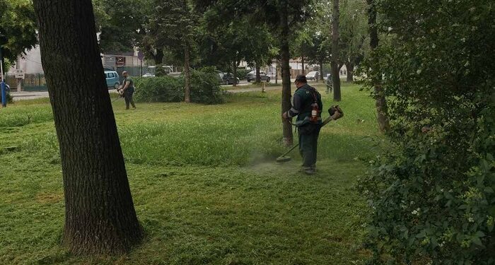 Zelenilo Smederevo uređuje parkove, zelene površine i autobuska stajališta širom grada