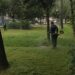 Zelenilo Smederevo uređuje parkove, zelene površine i autobuska stajališta širom grada