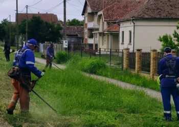 Zelenilo Smederevo: Uređene zelene površine od Vranova do Saraoraca i na Veslačkom