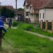 Zelenilo Smederevo: Uređene zelene površine od Vranova do Saraoraca i na Veslačkom