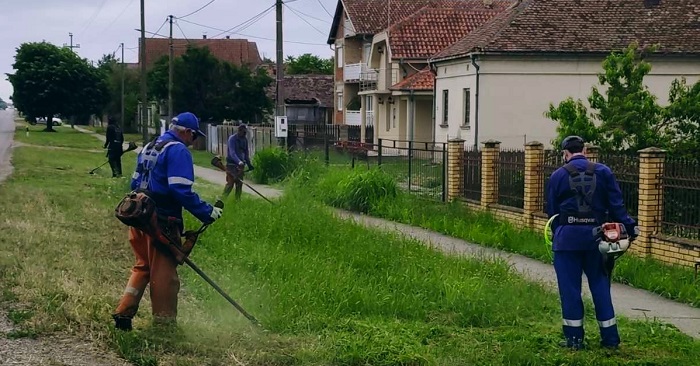 Zelenilo Smederevo: Uređene zelene površine od Vranova do Saraoraca i na Veslačkom