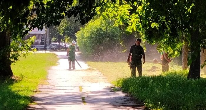Zelenilo Smederevo uredilo Park Akvarius