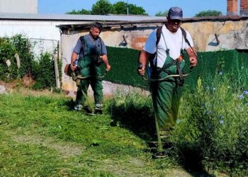 Zelenilo Smederevo: Uređenje u Đure Salaja