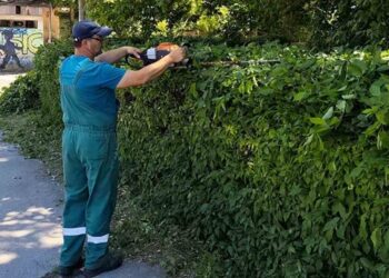 Zelenilo Smederevo: Uređenje zelenih površina i javnih prostora na više lokacija