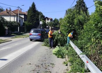 Zelenilo Smederevo uređivalo Papazovac i Petrijevsku ulicu