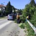 Zelenilo Smederevo uređivalo Papazovac i Petrijevsku ulicu