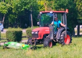 Zelenilo Smederevo uređuje ulaz u grad i zelene površine na Veslačkom