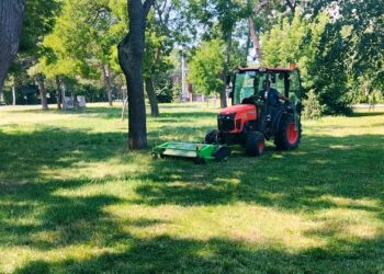 Zelenilo Smederevo nastavlja uređenje grada, radovi danas na više lokacija