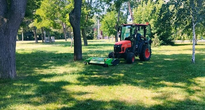 Zelenilo Smederevo nastavlja uređenje grada, radovi danas na više lokacija