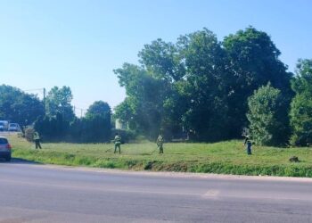 Zelenilo Smederevo nastavlja održavanje zelenih površina širom grada i prigradskih naselja