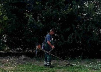 Zelenilo Smederevo nastavlja uređivanje grada: Danas radovi na više lokacija