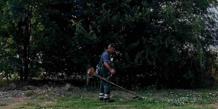 Zelenilo Smederevo nastavlja uređivanje grada: Danas radovi na više lokacija
