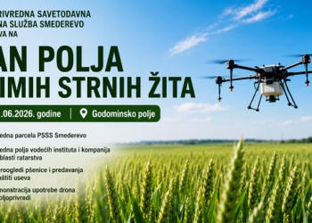 Dan polja ozimih strnih žita 11. juna u Godominskom polju