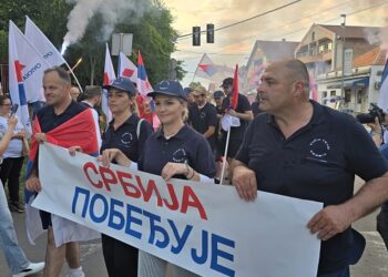 Aktivisti SNS iz Smedereva i Velike Plane najsrdačnije dočekani u Grockoj (VIDEO)