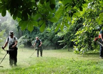 Zelenilo Smederevo uređuje park Akvarius i Novinarski park
