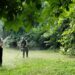 Zelenilo Smederevo uređuje park Akvarius i Novinarski park